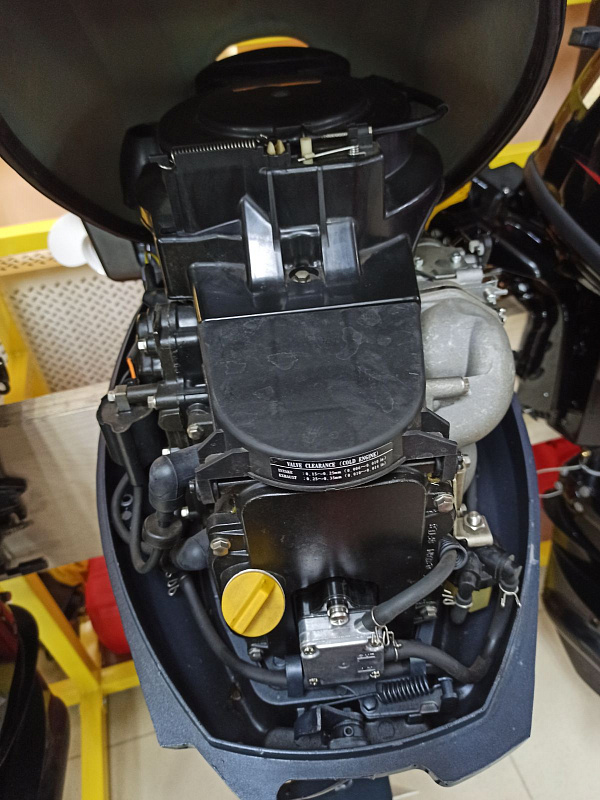 Лодочный мотор BREEZE F9,9S (4х тактный) в Батайске