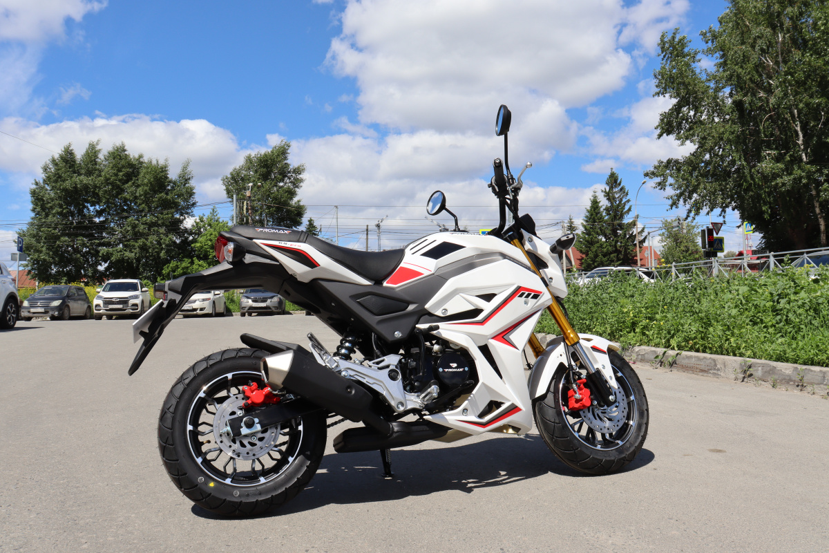 Мотоцикл PROMAX STRYKER 200(49) 2.0 в Батайске