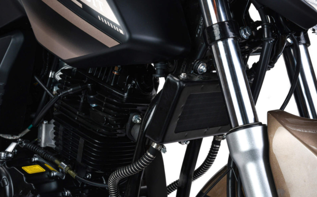 Мотоцикл MOTOLAND (МОТОЛЕНД) 300 BANDIT в Батайске