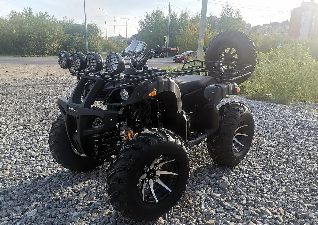 Квадроцикл PROMAX LEO 300 Max (кардан) в Батайске