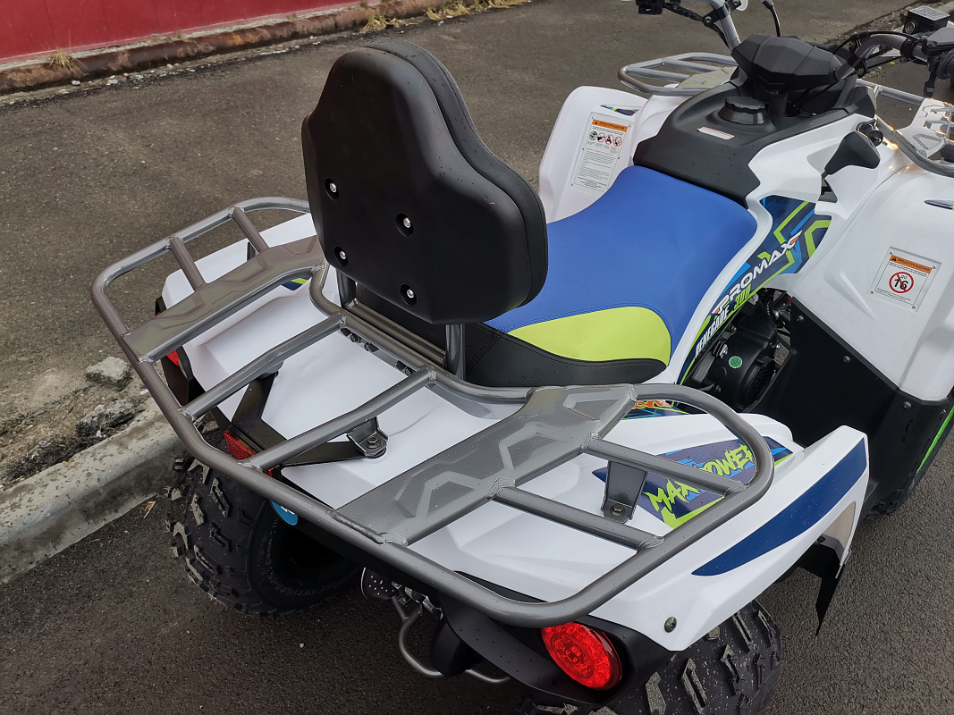 Квадроцикл PROMAX RENEGADE 280 LUX (2025) в Батайске