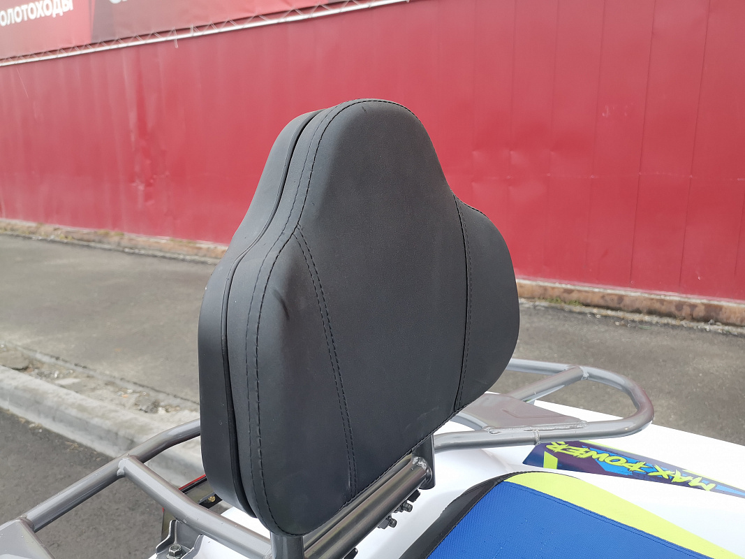 Квадроцикл PROMAX RENEGADE 280 LUX (2025) в Батайске