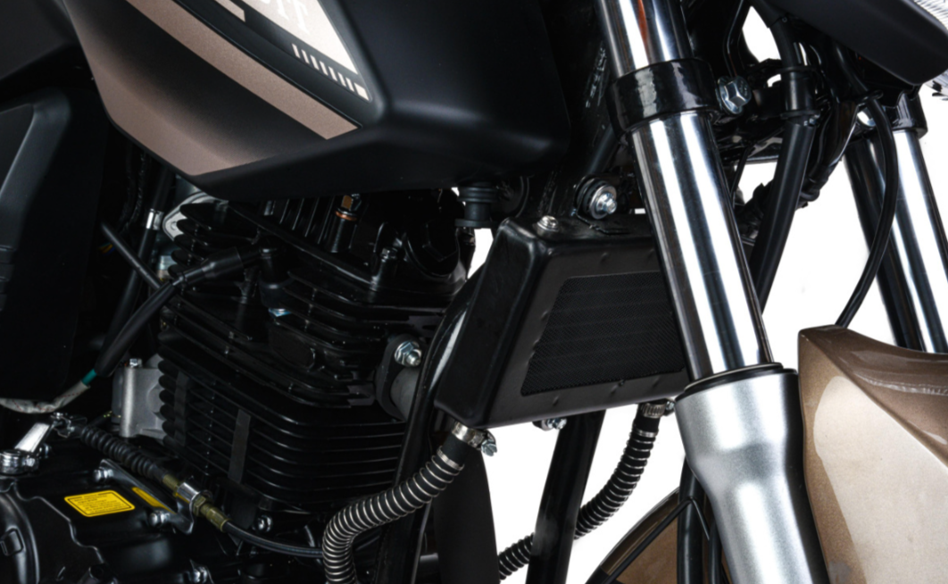 Мотоцикл MOTOLAND (МОТОЛЕНД) 300 BANDIT в Батайске