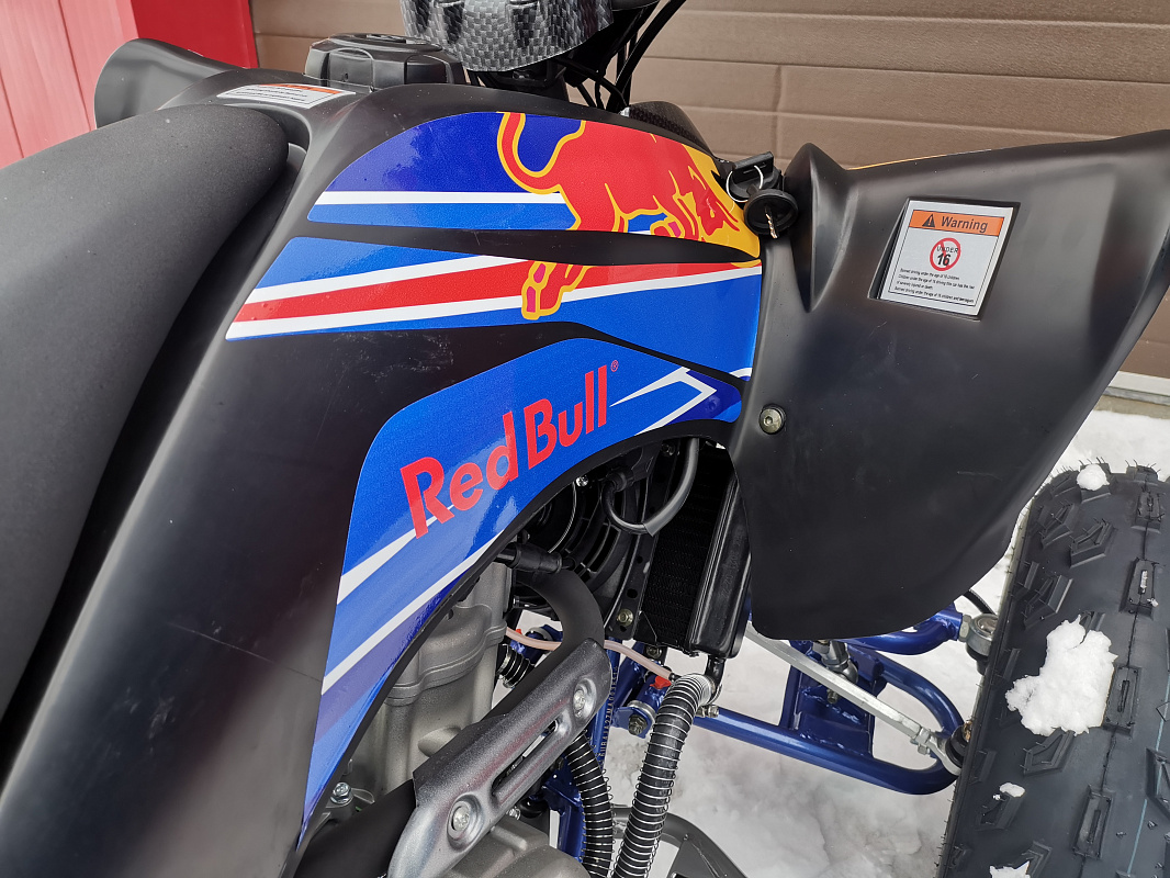 Квадроцикл PROMAX RAPTOR 300 NEW RedBull в Батайске