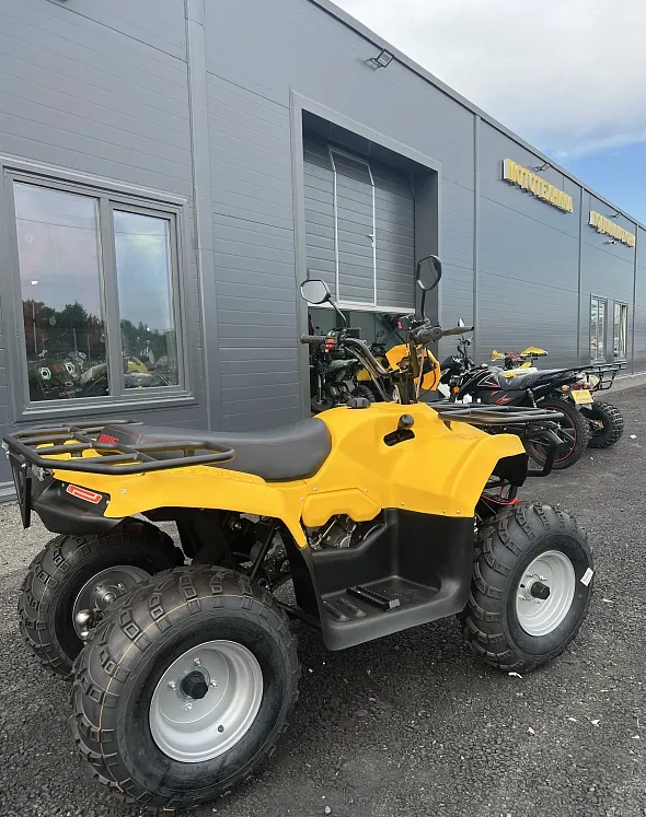 КВАДРОЦИКЛ IRBIS ATV 250  в Батайске