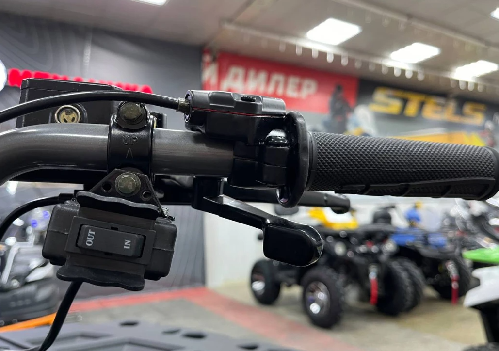 Квадроцикл PROMAX RENEGADE 300 LONG WINCH PRO (2025) в Батайске