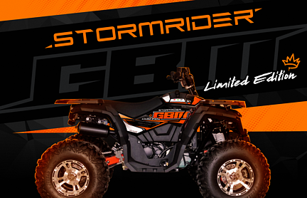 Квадроцикл GBM STORMRIDER 320 NEW LUX в Батайске