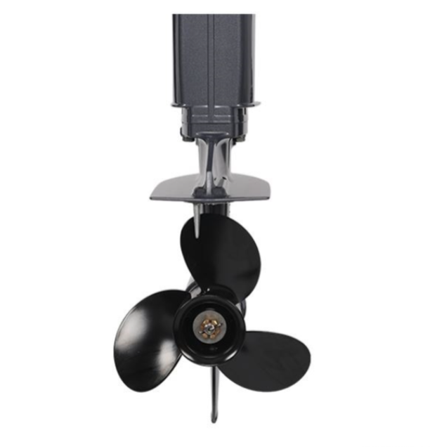 Лодочный мотор ALLFA CG Т40FW S в Батайске