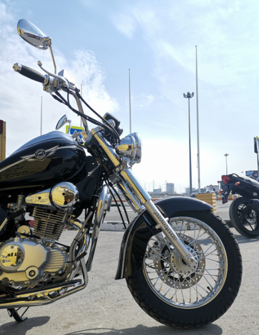 Мотоцикл MOTOLAND (МОТОЛЕНД) WOLF 250 в Батайске