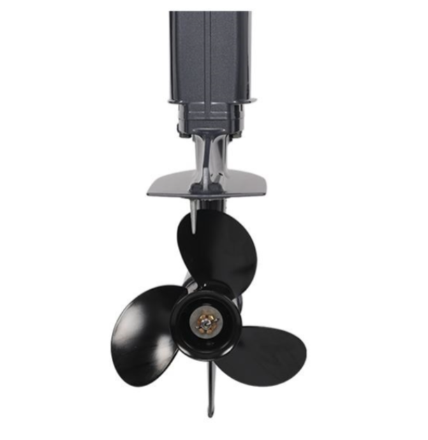 Лодочный мотор ALLFA CG Т40FWT S в Батайске