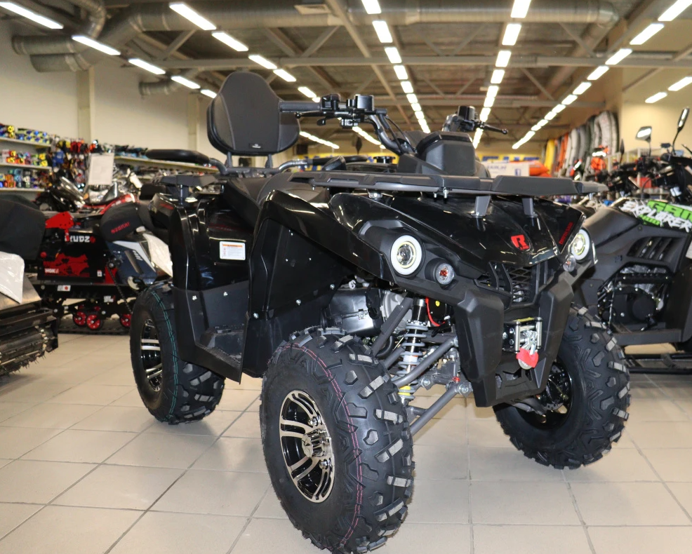 Квадроцикл PROMAX RENEGADE 300 LONG WINCH PRO (2025) в Батайске