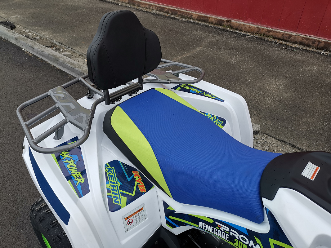 Квадроцикл PROMAX RENEGADE 280 LUX (2025) в Батайске