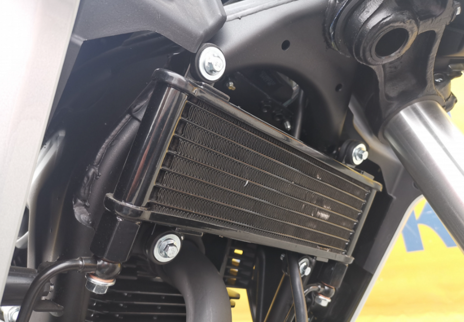 Мотоцикл MOTOLAND (МОТОЛЕНД) 250 CB250 (172FMM-5/PR250) (2022 г.) в Батайске