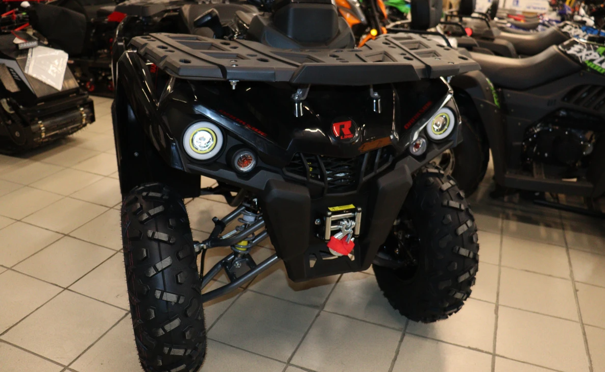 Квадроцикл PROMAX RENEGADE 300 LONG WINCH PRO (2025) в Батайске