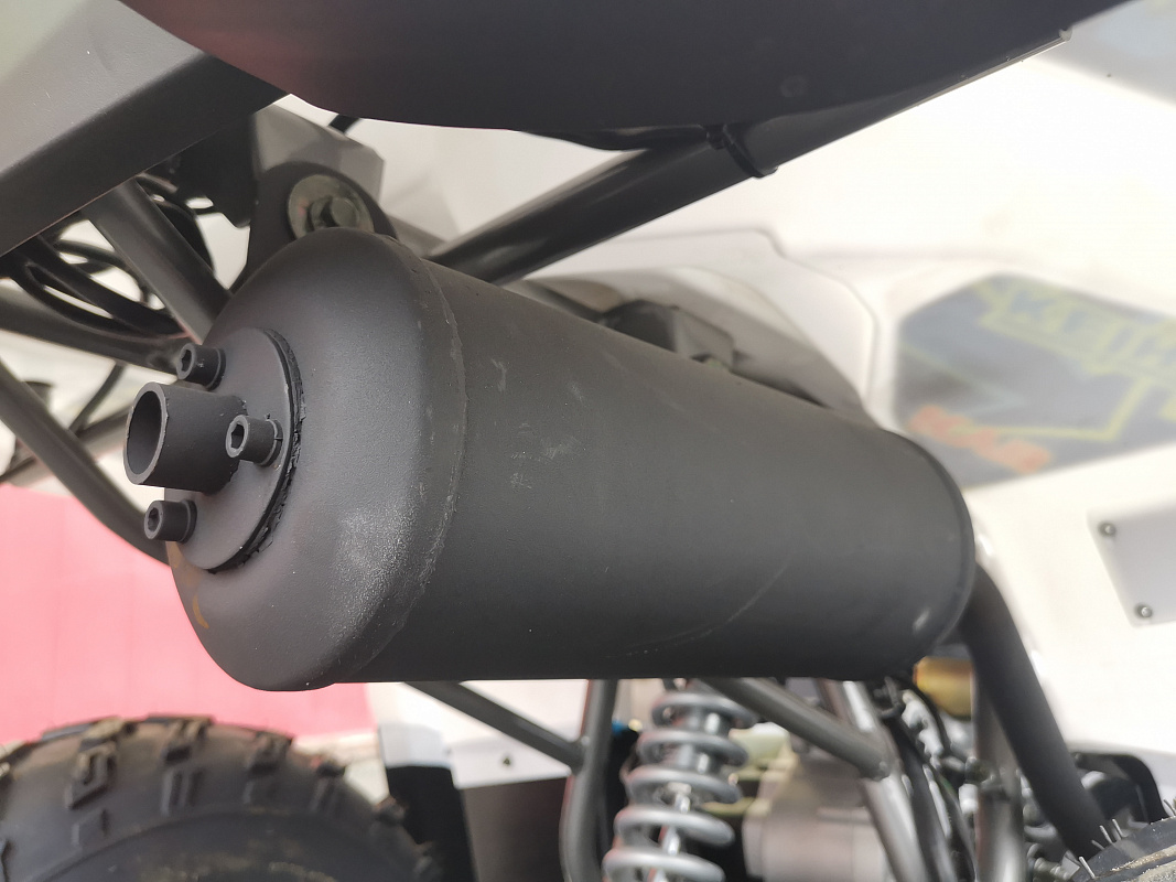 Квадроцикл PROMAX RENEGADE 280 LUX (2025) в Батайске