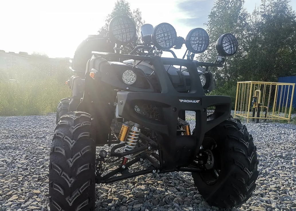 Квадроцикл PROMAX LEO 300 Max (кардан) в Батайске