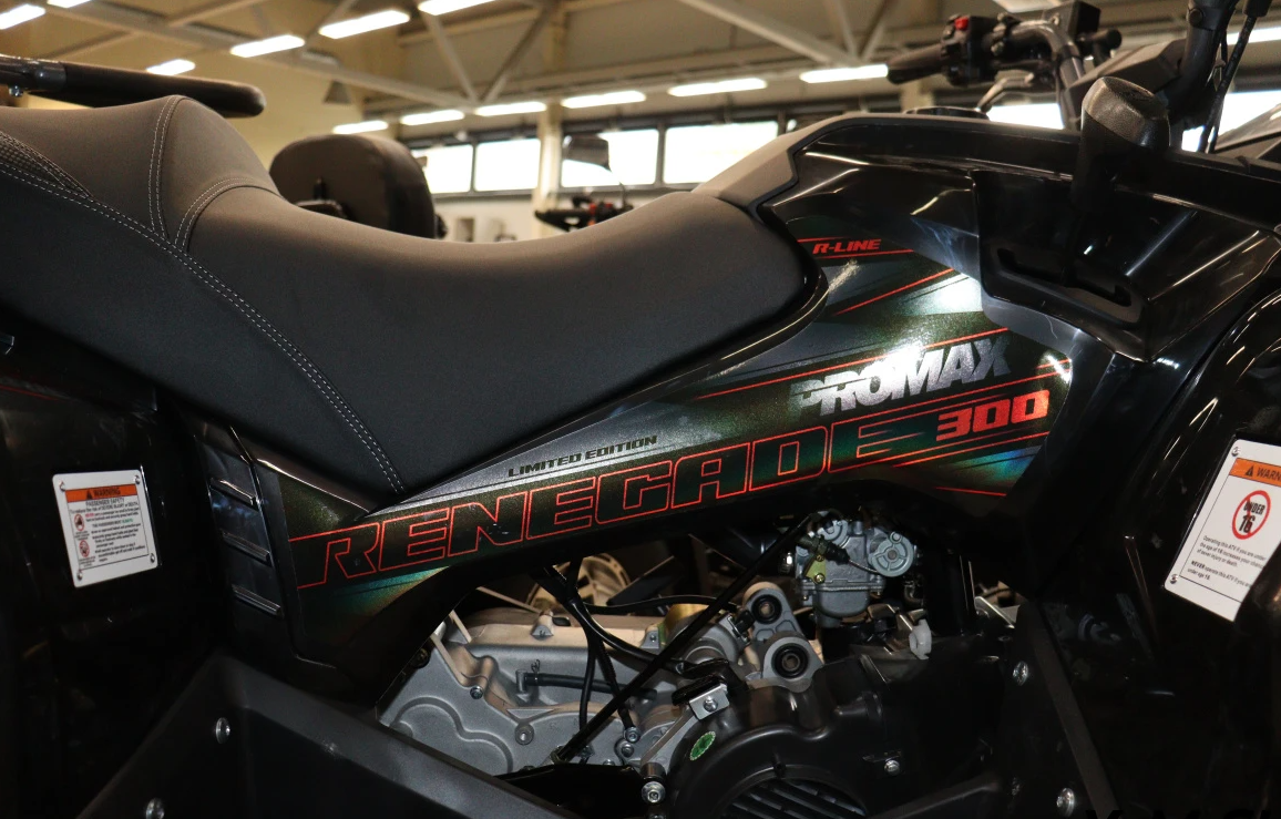 Квадроцикл PROMAX RENEGADE 300 LONG WINCH PRO (2025) в Батайске