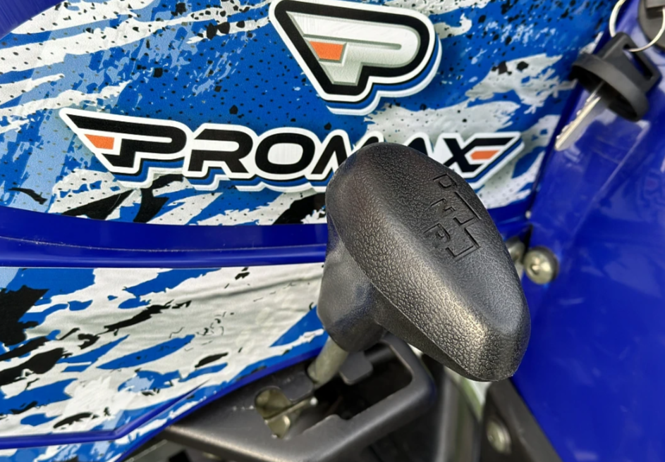  Квадроцикл PROMAX ATV 250 MAX (2025) в Батайске