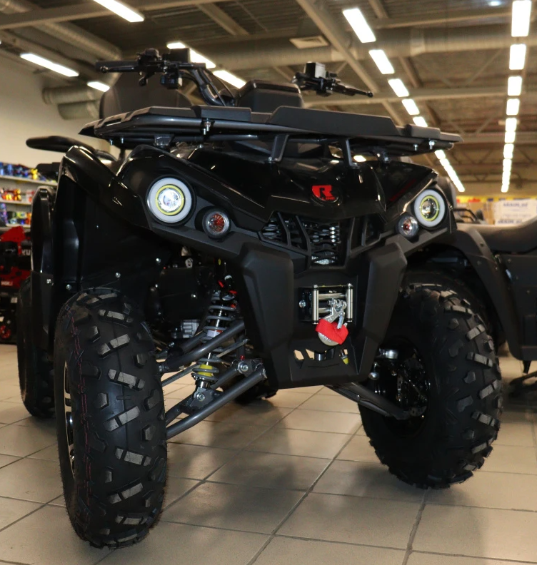 Квадроцикл PROMAX RENEGADE 300 LONG WINCH PRO (2025) в Батайске