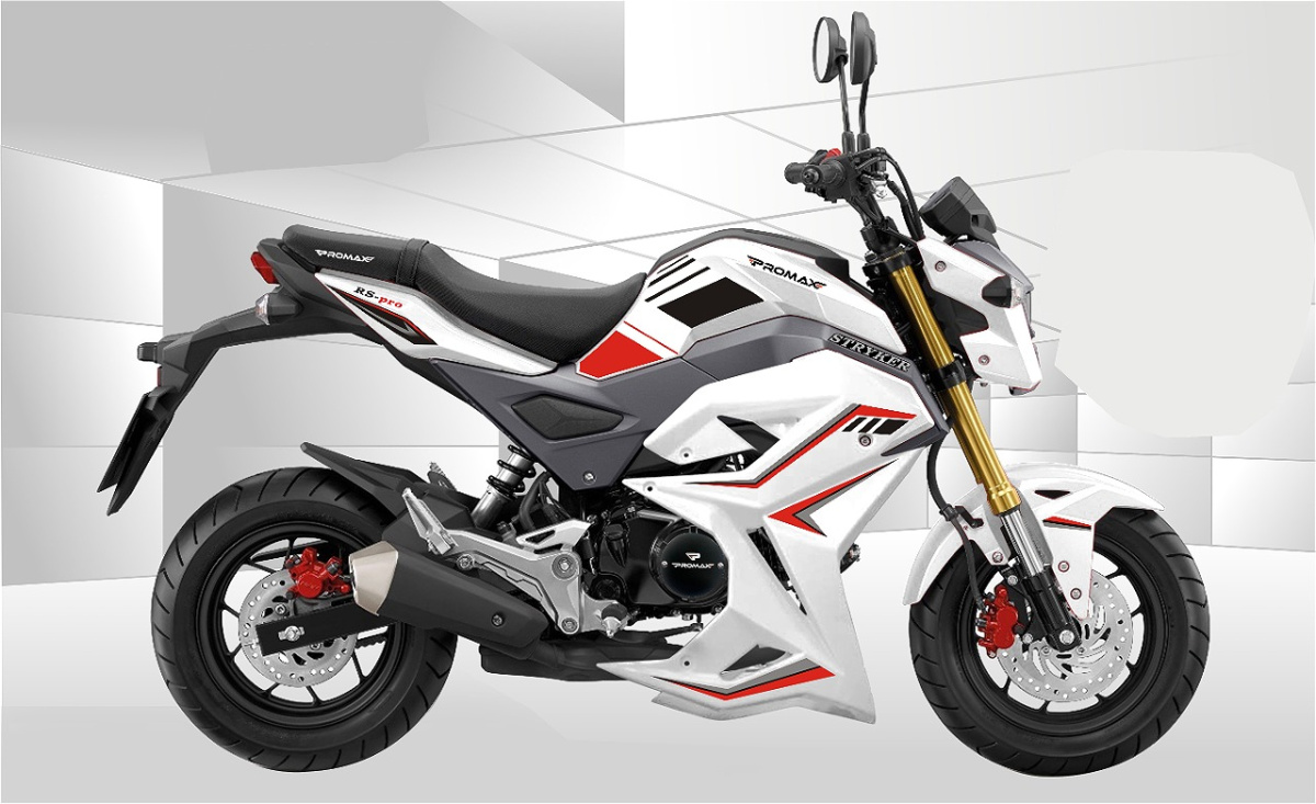 Мотоцикл PROMAX STRYKER 200(49) 2.0 в Батайске