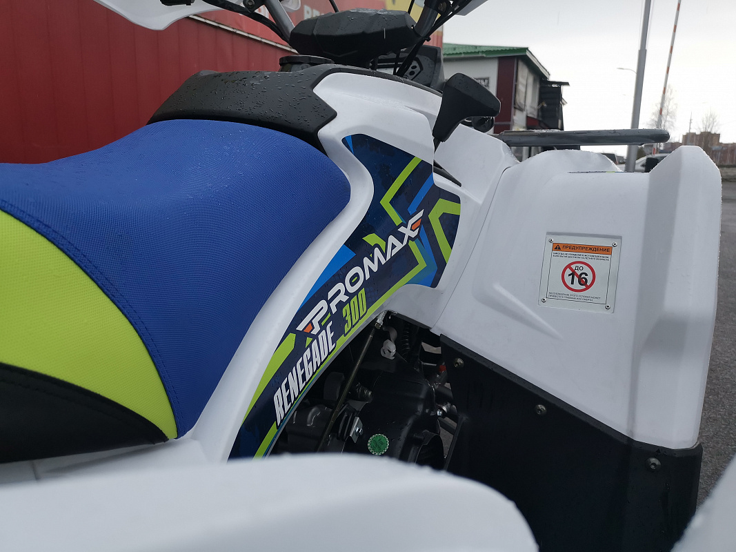 Квадроцикл PROMAX RENEGADE 280 LUX (2025) в Батайске