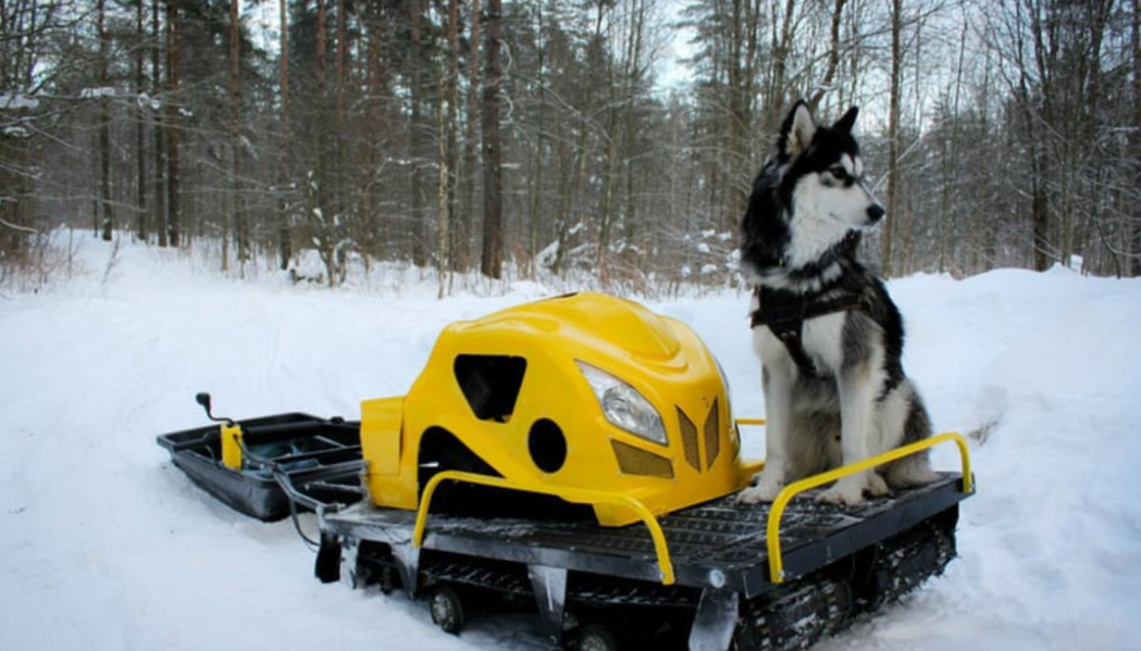Мотобуксировщик LEBEDEV MOTORS ВОЛКОДАВ POWER V13 в Батайске
