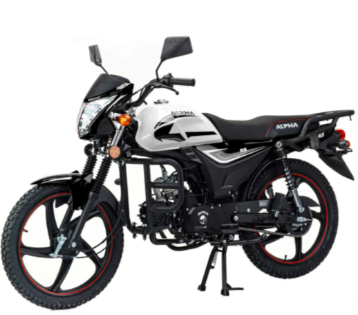Мопед MOTOLAND (МОТОЛЕНД) Альфа RS 11 (LM48-B) в Батайске