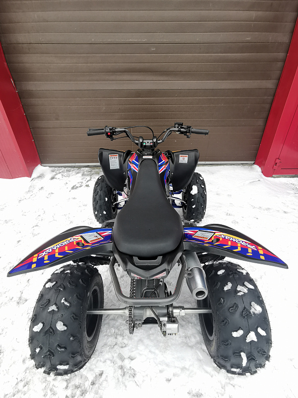 Квадроцикл PROMAX RAPTOR 300 NEW RedBull в Батайске