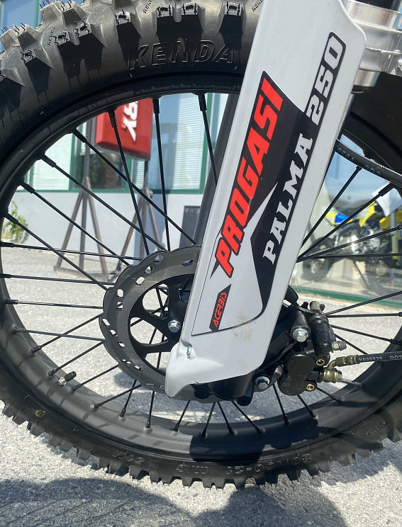 Мотоцикл Progasi PALMA 300 NEW (CB300F) в Батайске