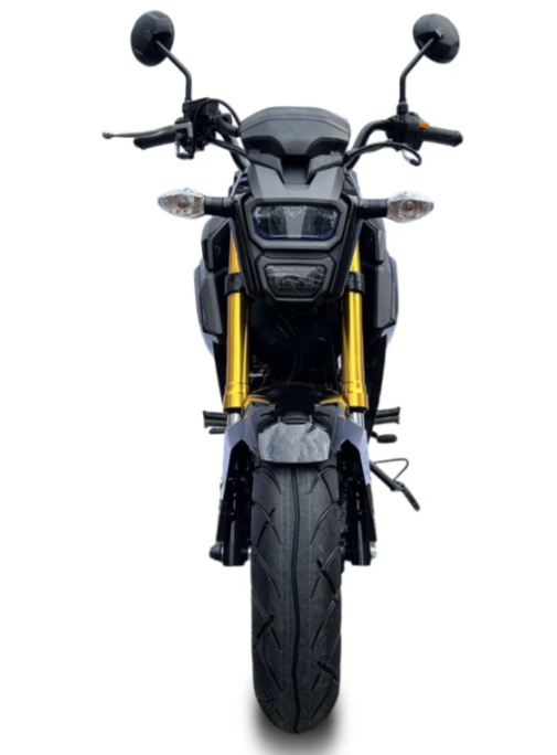 Мотоцикл PROMAX STRYKER 200(49) в Батайске