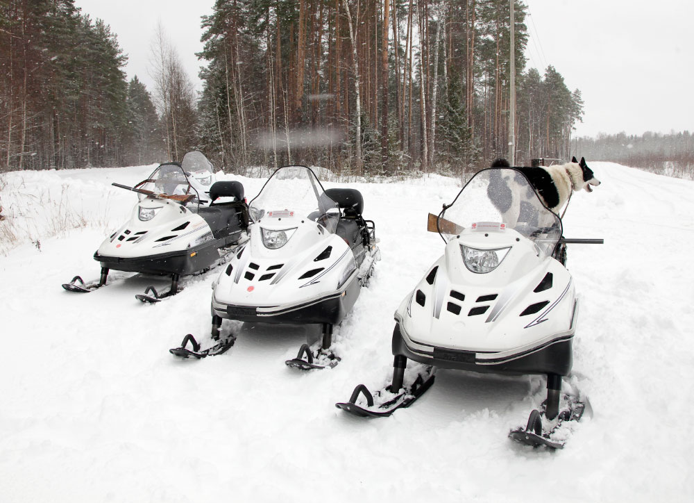 СНЕГОХОД РМ ТАЙГА ВАРЯГ 550 V в Батайске