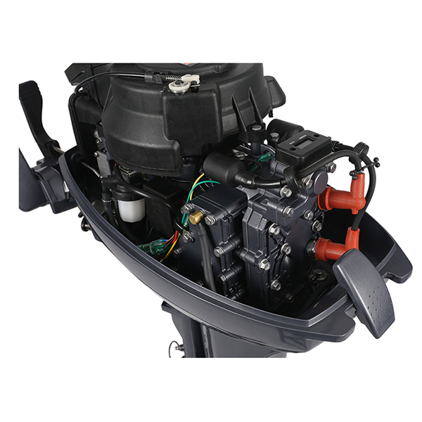 ЛОДОЧНЫЙ МОТОР ALLFA CG Т9,9 в Батайске