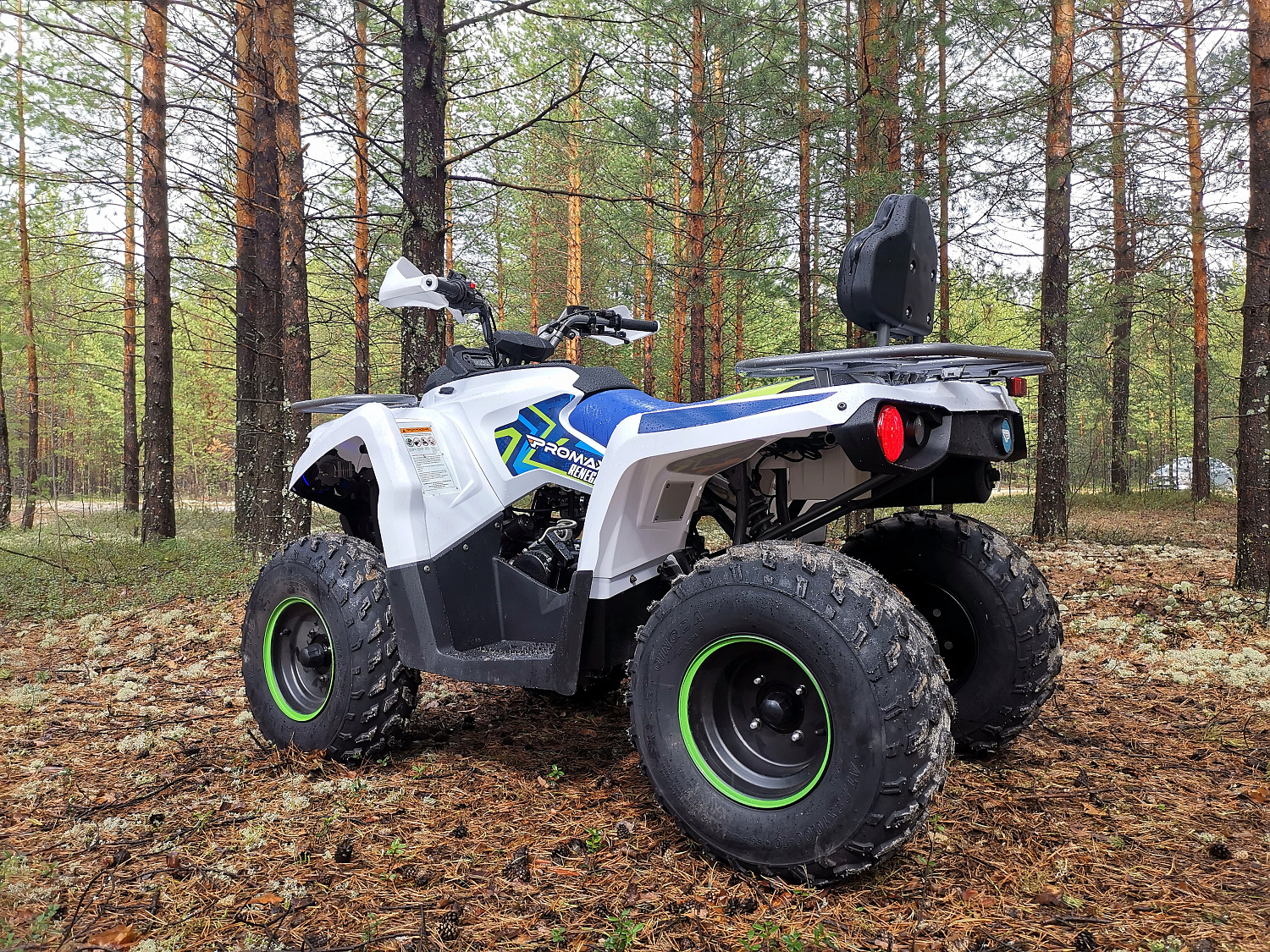 Квадроцикл PROMAX RENEGADE 280 (2025) в Батайске