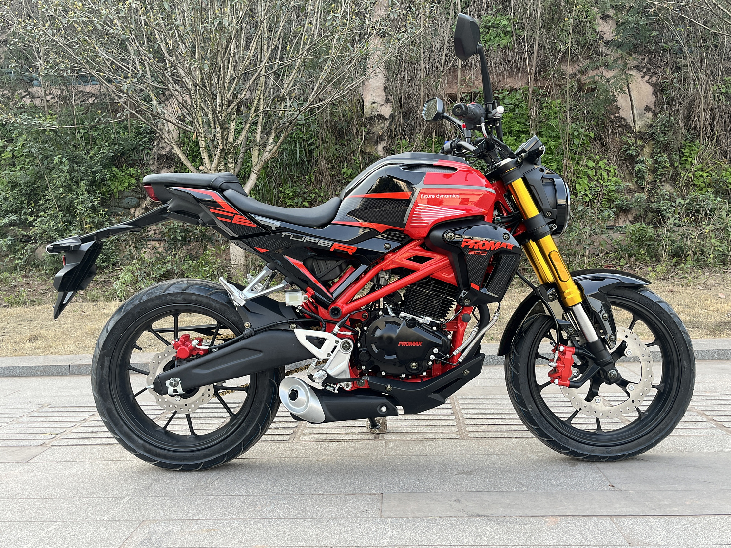 Мотоцикл PROMAX CB300 в Батайске