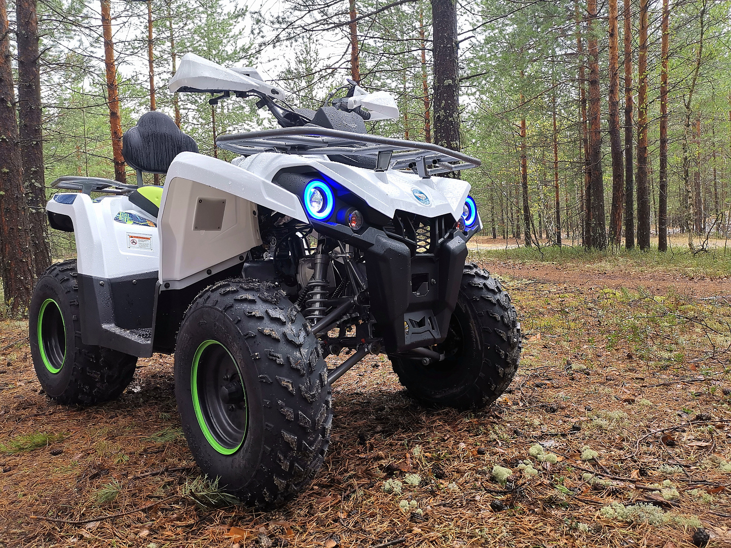 Квадроцикл PROMAX RENEGADE 280 (2025) в Батайске