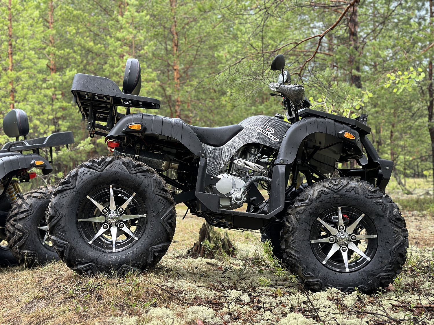 Квадроцикл PROMAX 320 DOMINATOR (2025) в Батайске