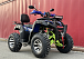  Квадроцикл PROMAX ATV 250 MAX (2025) в Батайске