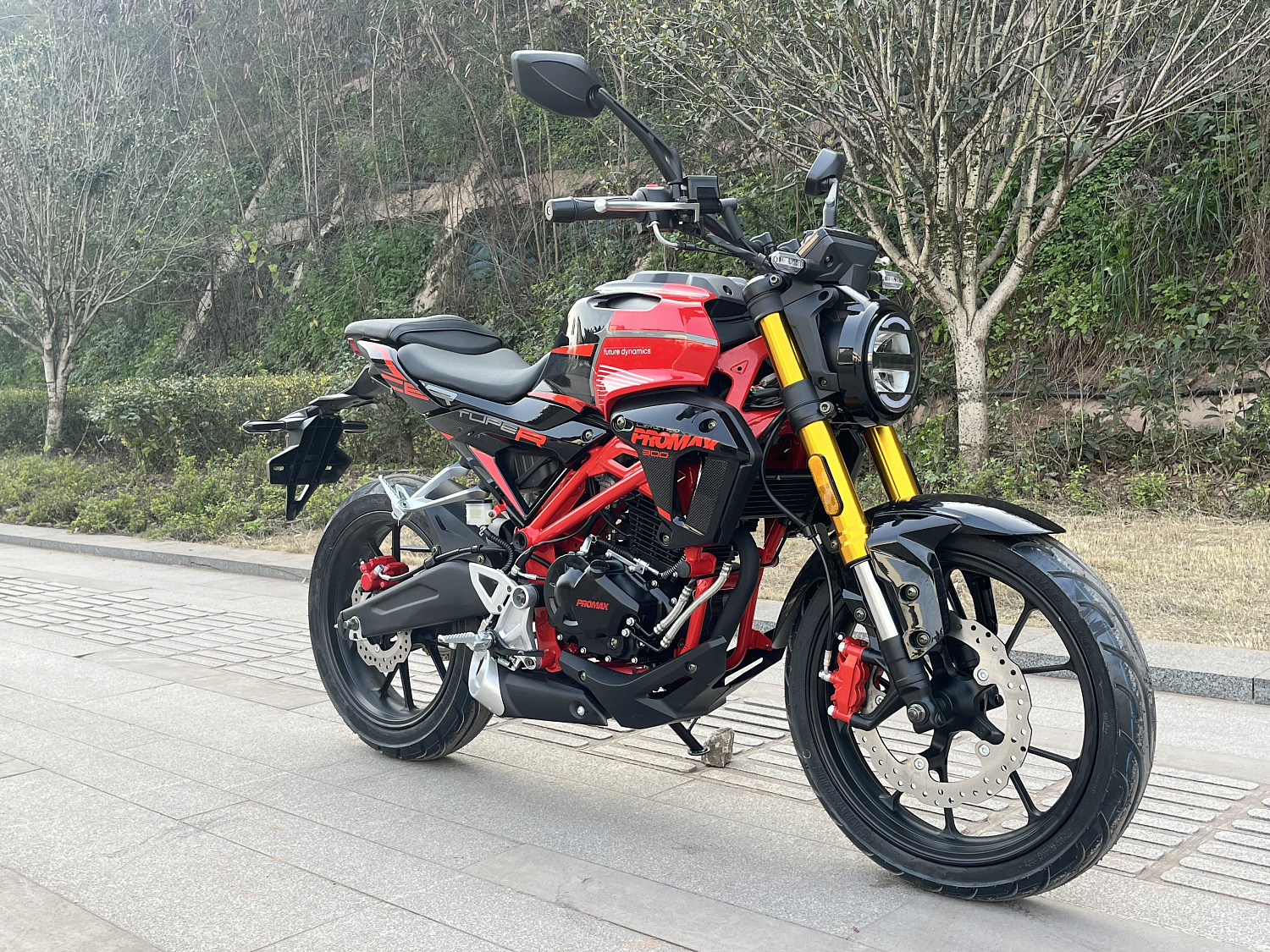 Мотоцикл PROMAX CB300 в Батайске