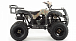 Квадроцикл MOTOLAND (МОТОЛЕНД) 200 ALL ROAD в Батайске