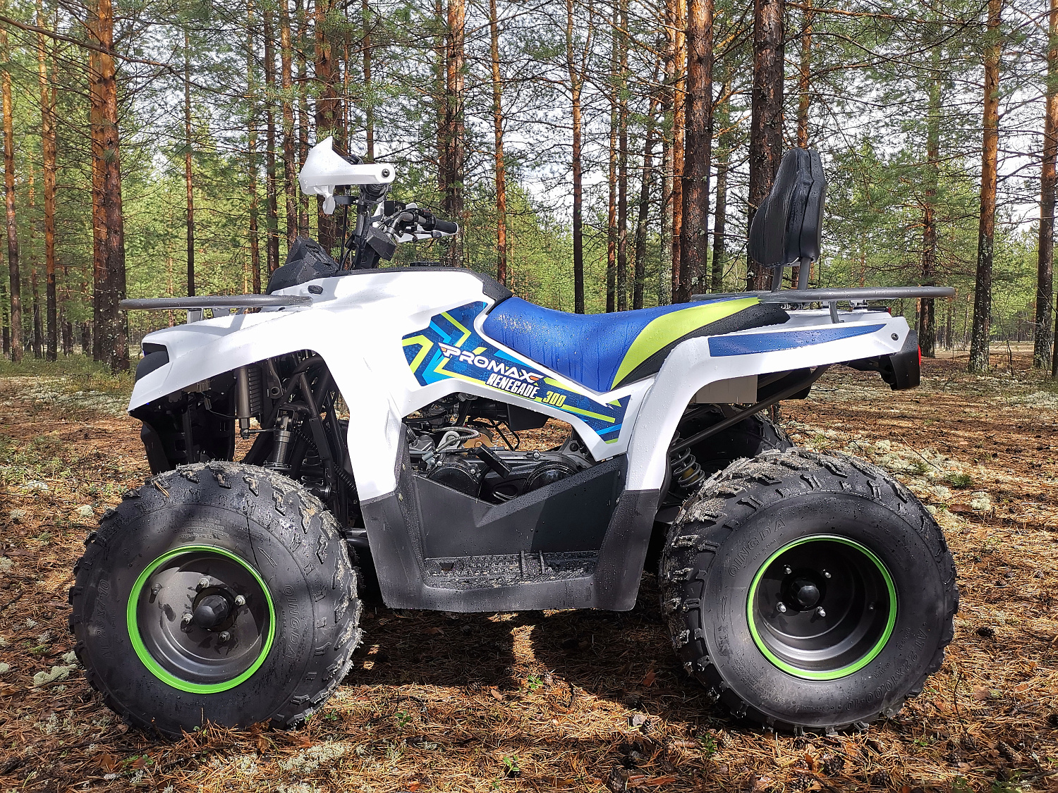 Квадроцикл PROMAX RENEGADE 280 (2025) в Батайске