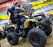 Квадроцикл PROMAX ATV 250 (2025) в Батайске