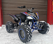Квадроцикл PROMAX RAPTOR 300 NEW RedBull в Батайске