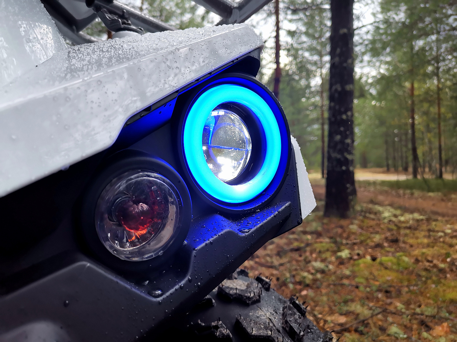 Квадроцикл PROMAX RENEGADE 280 (2025) в Батайске